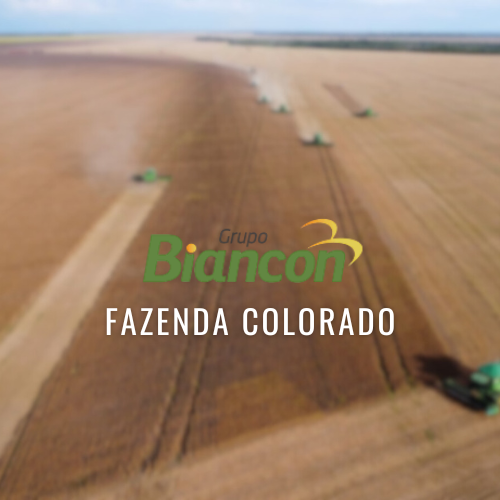 Fazenda Colorado