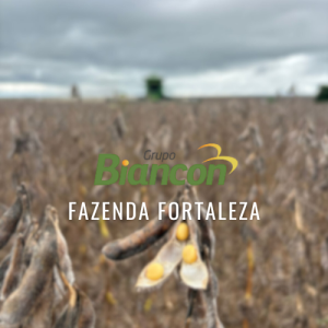 Fazenda Fortaleza